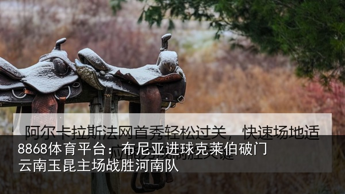 8868体育平台：布尼亚进球克莱伯破门云南玉昆主场战胜河南队