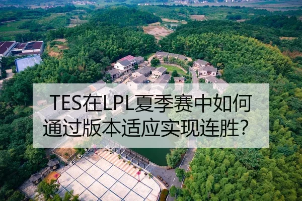 TES在LPL夏季赛中如何通过版本适应实现连胜？