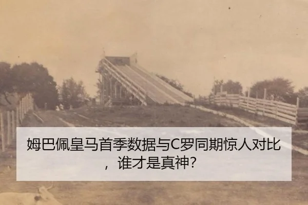 mu-ba-pei-huang-ma-shou-ji-shu-ju-yu-luo-tong-qi-jing-ren-dui-bi-shui-cai-shi-zhen-shen-3-597.jpg