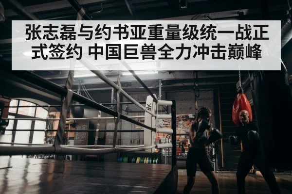张志磊与约书亚重量级统一战正式签约 中国巨兽全力冲击巅峰