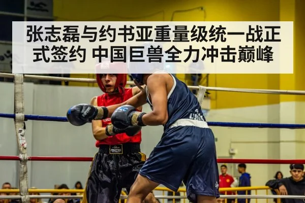 boxing match ring