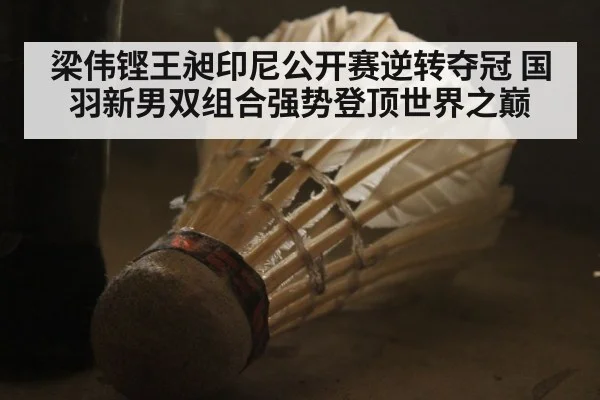 梁伟铿王昶印尼公开赛逆转夺冠 国羽新男双组合强势登顶世界之巅